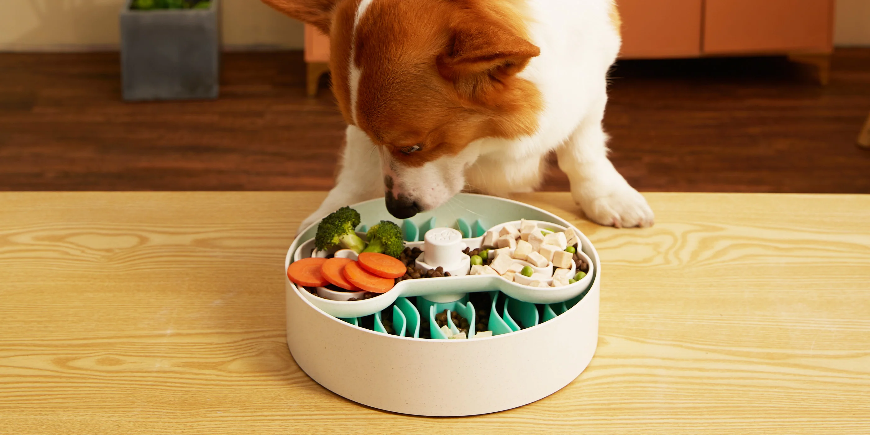 Eco-Friendly Feasting for Fast Eaters